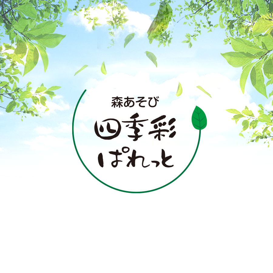 Cafe 四季彩